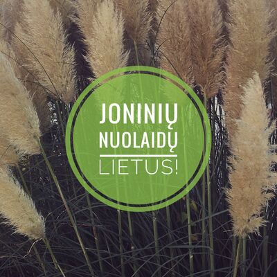 Joninių nuolaidos