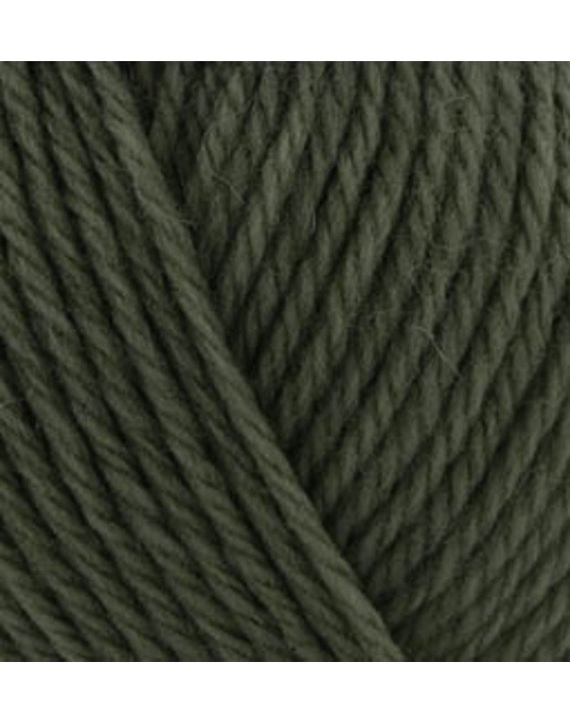 ALIZE WOOLTIME 873 tamsiai žalia 1
