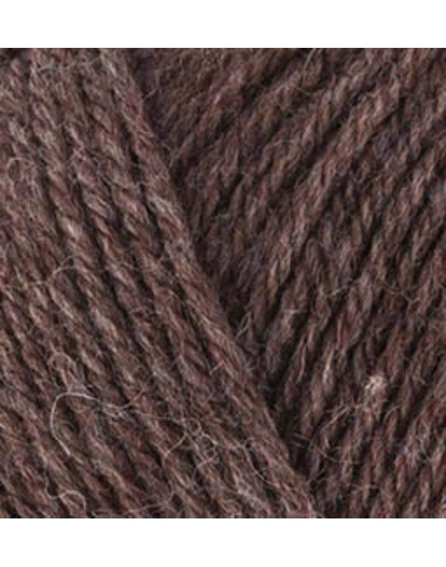 ALIZE WOOLTIME 240 ruda mix 1