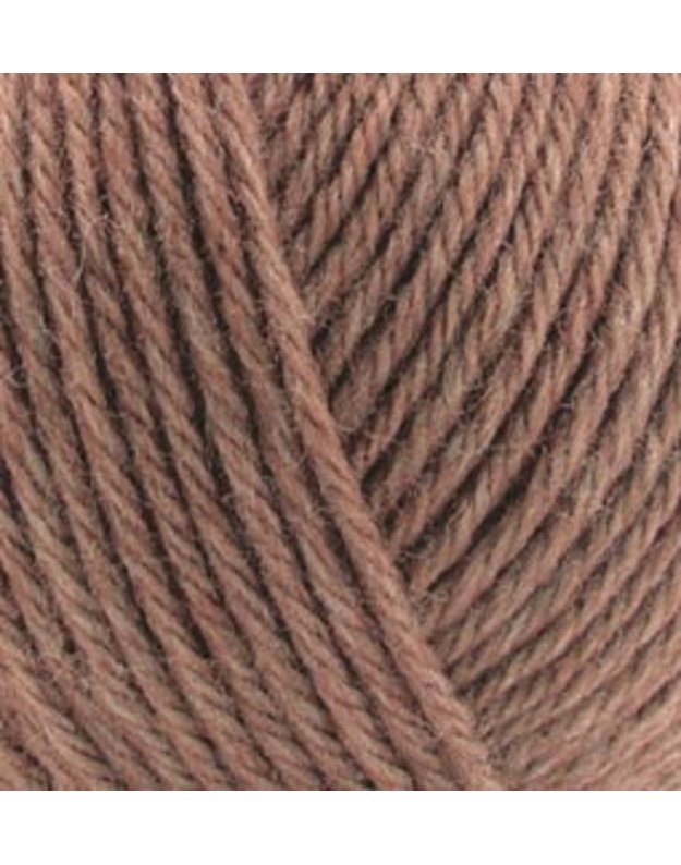 ALIZE WOOLTIME  466 riešutų kremo